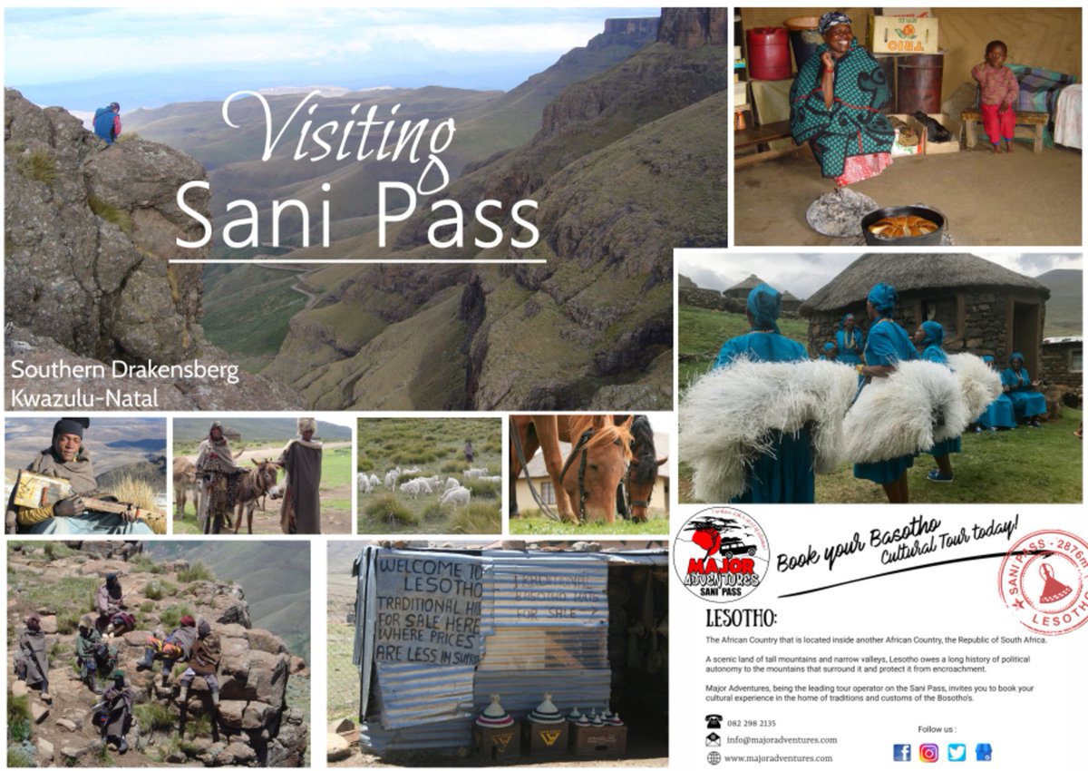 Major Adventures tweet media