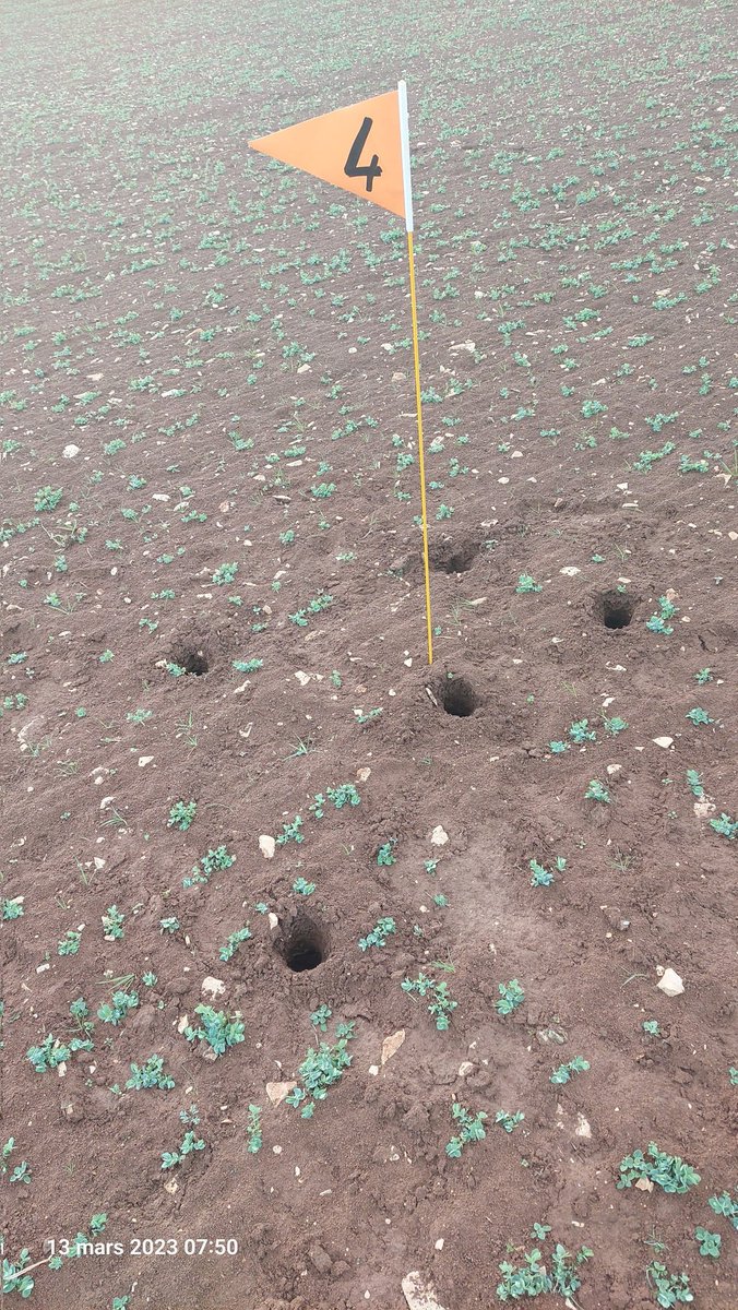 scordeau_inra's tweet photo. Campagne annuelle de prélèvement des sols par U2E/UP3R sur les 112 pts des 28 parcelles de @AbyPlateforme avec au programme cette année
➡️ microbiologie des sols avec @INRAE_GenoSol
➡️ stockage en pedotheque pour physico-chimie
➡️ stock semencier #adventice par @UMRAgroecologie https://t.co/bCb6rh8cdG