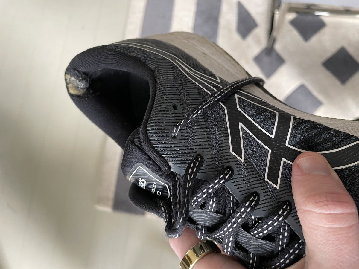 Harry Purvis tweet media