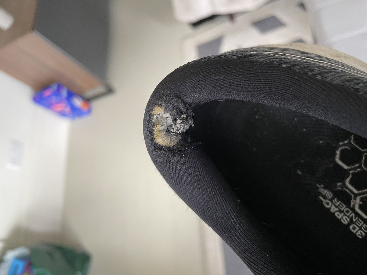 Harry Purvis tweet media