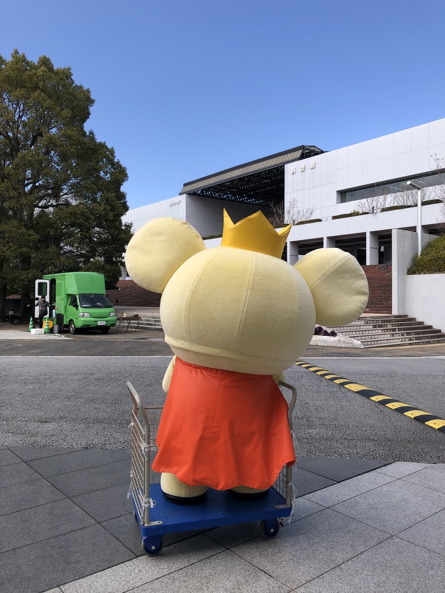 chuo_admission's tweet photo. 広い #多摩キャンパス で
学生さんを待ちわびている
#チュー王子、後ろ姿。。

哀愁が漂ってます💦

早くみんなに会いたいな🌸

※台車でのお散歩は
　良い子は真似しないでね！

#中央大学 
#受験生応援
#春から中央 
#神出鬼没
#お散歩中
#花粉は苦手 https://t.co/0Kc1jcQWOK