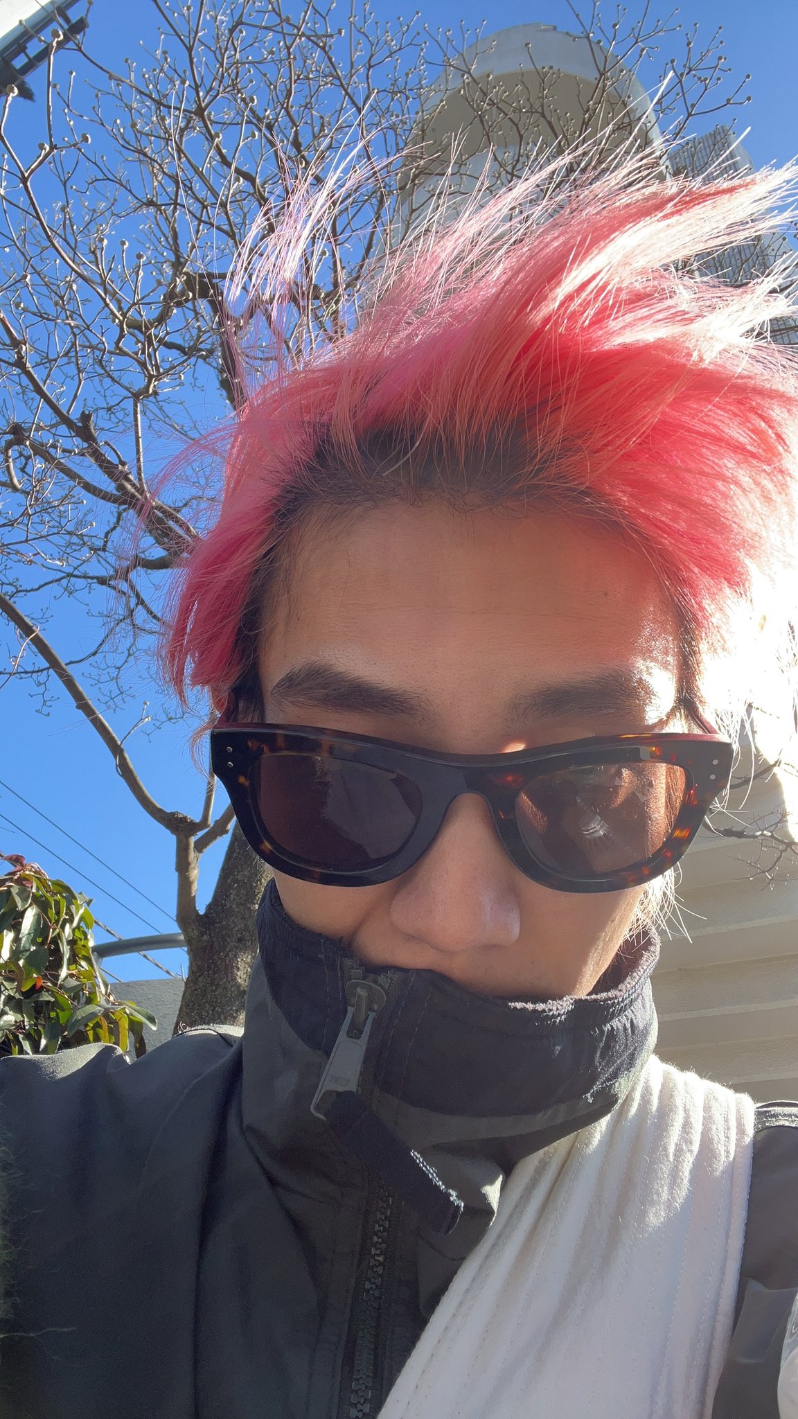 駒木根葵汰　ピンク髪　チェキ 駒木根葵汰 on X: 
