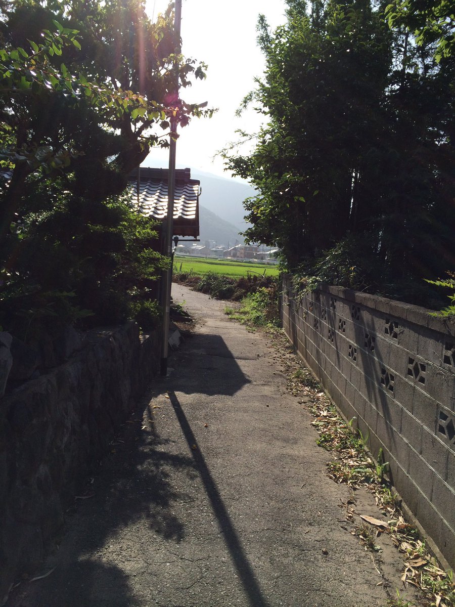 iiroji_bot's tweet photo. https://t.co/4qPujhmYct