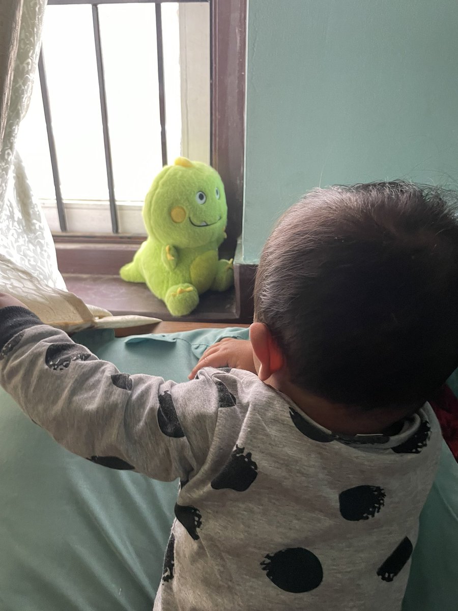 His morning ritual after waking up.. Saying ‘Hi’ to his Dino