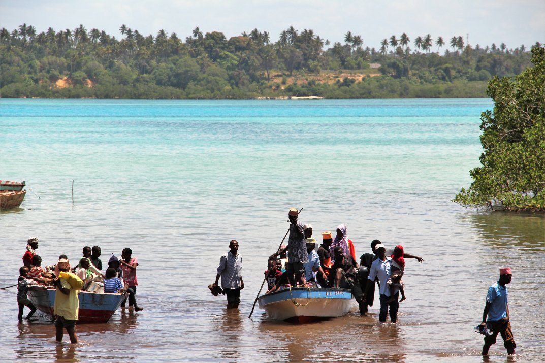 Tanguy on Twitter "JOBs ALERT📄 Project in Tanzania/Zanzibar🇹🇿 Based in