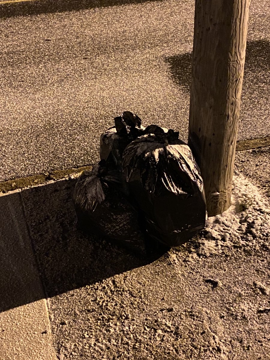 WestEndGuide's tweet image. The winds haven’t started up yet, so they haven’t blown my trash bags around; a slight dusting of snow on the West End on Fairfield at 1 AM