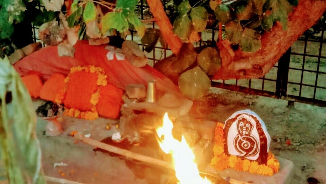 DevMalaseri's tweet photo. राजस्थान में ��ित्तौड़गढ़ ज़िले की राशमी तहसील में भगवान विष्णु के अवतार भगवान श्री देवनारायण जी का सोनियाणा देवरा है। भगवान श्री देव दरबार ने यहां छह महीने शयन किया। यहां सालभर में लाखों देव भक्त भगवान श्री देवनारायण जी को धोक लगाकर  आशीर्वाद लेने पहुंचते हैं। https://t.co/tvMTIiGHFh