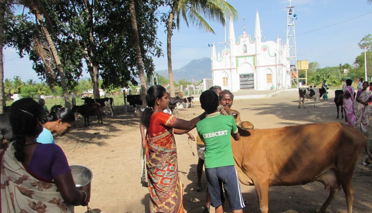 Rengalakshmi10's tweet photo. Collective action enabled transformation among women farmers by increased access to #productiontechnologies, #quality-based #procurement, group managed #collectioncenters, tie-up with input & output markets, timely credit access with cadre of paravets, pilot supported #MoWCD https://t.co/A67r3R4hjv