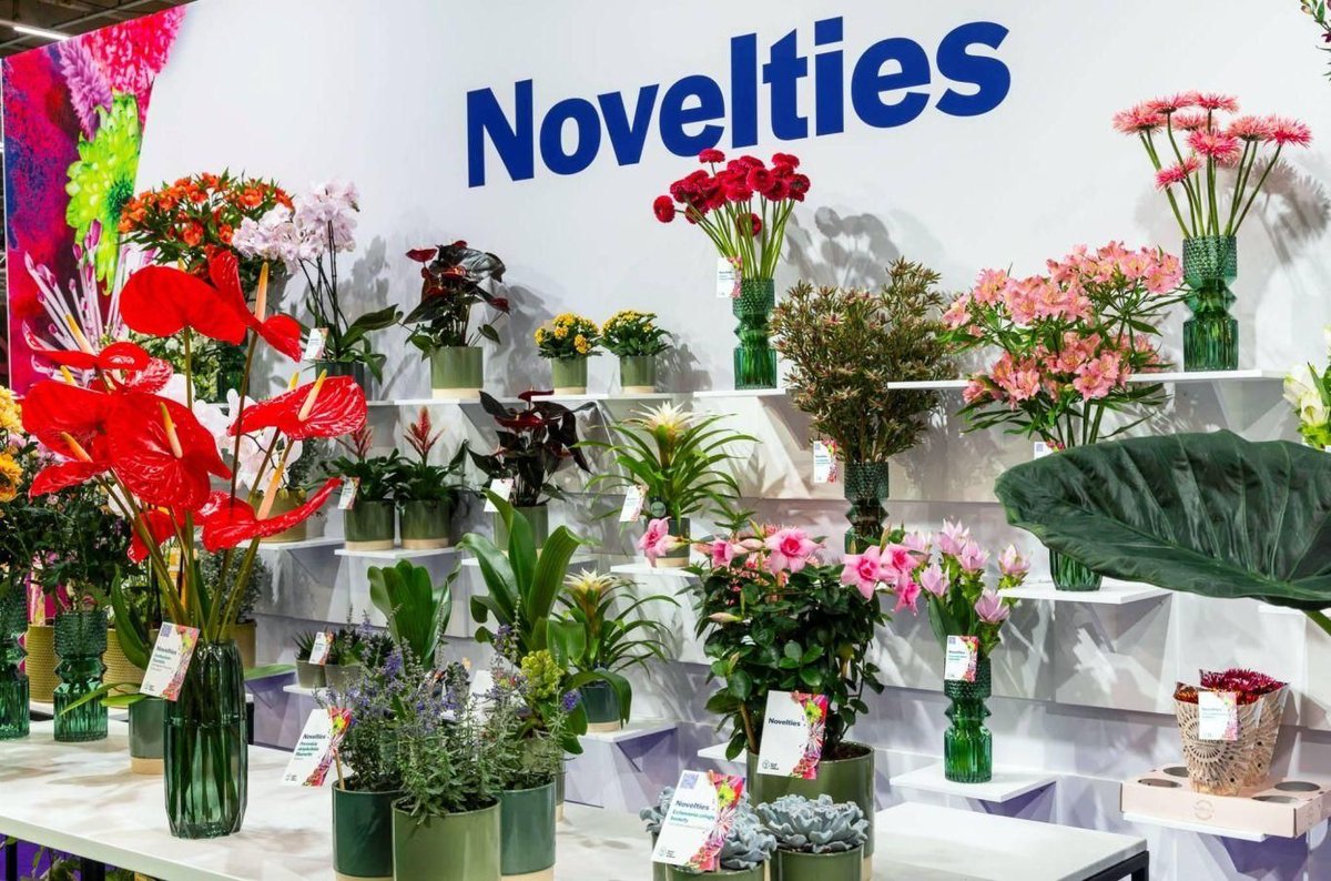 FloraHolland's tweet image. Morgen is het zover, de Trade Fair Rijswijk vindt plaats! Er valt veel te beleven, zoals de nieuwste noviteiten, een heleboel workshops en een borrel op onze kosten! 

Meld je hier gratis aan forms.summit.nl/RoyalFloraHoll… en tot morgen! 

#events #RFH #noviteiten #beurzen