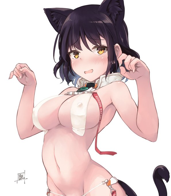 にゃーさんの誕生日だゾ!(再掲 