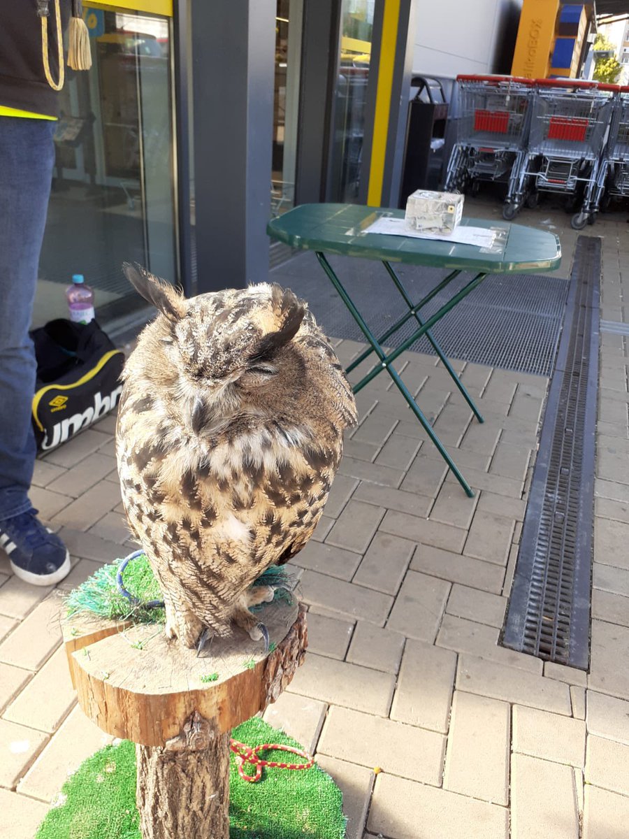 ericemon66's tweet image. You all better let me  warm up else i will bite you😁😁😅