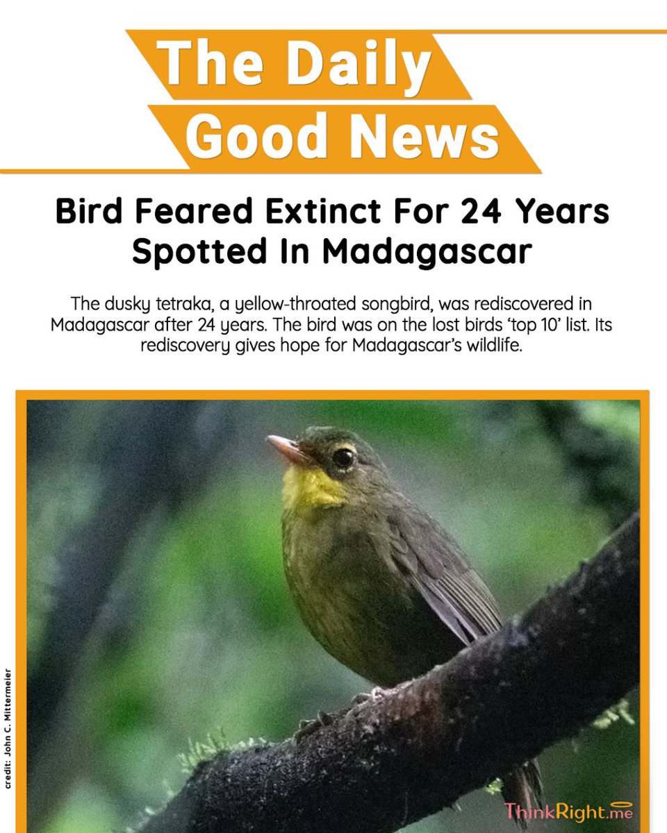 This truly made us happy. Do you have any good news to share with us. #thedailygoodnews #environment