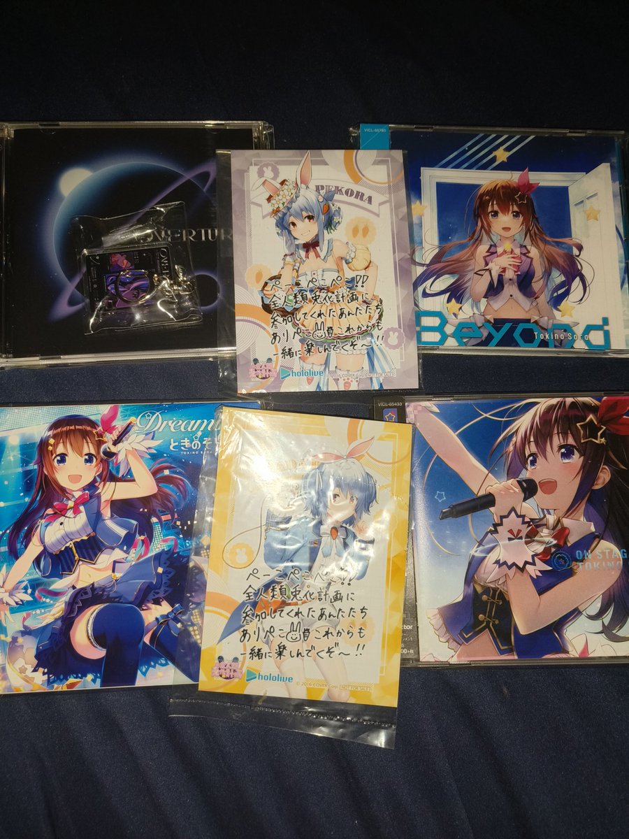 paulusmky's tweet photo. So happy all of this came home this month ☺️

#hololive #gawrgura #ときのそら #tokinosora #hoshimachisuisei #星街すいせい https://t.co/xTKQi4Lhpr