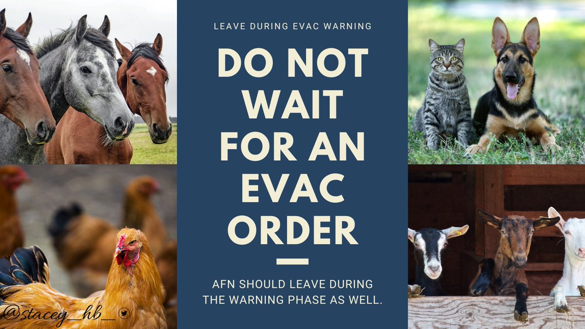 stacey_hb_'s tweet photo. If you have livestock, AFN or need extra time for any reason, do NOT wait for the #evacorder.  Get out during or before the #evacwarning. #CAwx #CAstorms #WinterWeather #SantaCruzCounty #SantaCruzMountains #SantaCruzMtns
#beprepared #preparenow #stormprep https://t.co/JZOvWwglLn