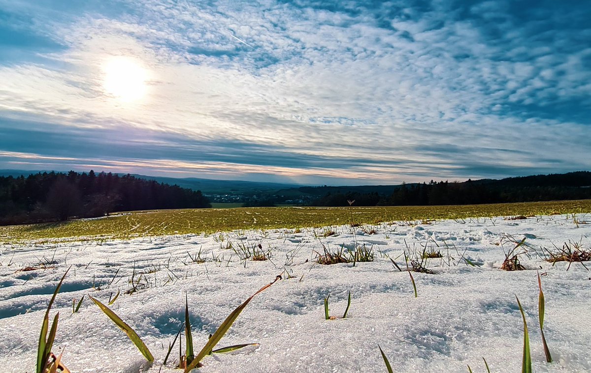 pkuler's tweet photo. #Velikova #Lukov #Zlín #Czechia #Zlínskýkraj #cloud #sky #plant #naturallandscape #naturalenvironment #snow #sunlight #tree #grass #freezing #plain #grassland #landscape #wood #ruralarea #meadow #horizon  #cumulus #field #hill #winter #forest #pasture #trip #walk https://t.co/6eczIthoAB