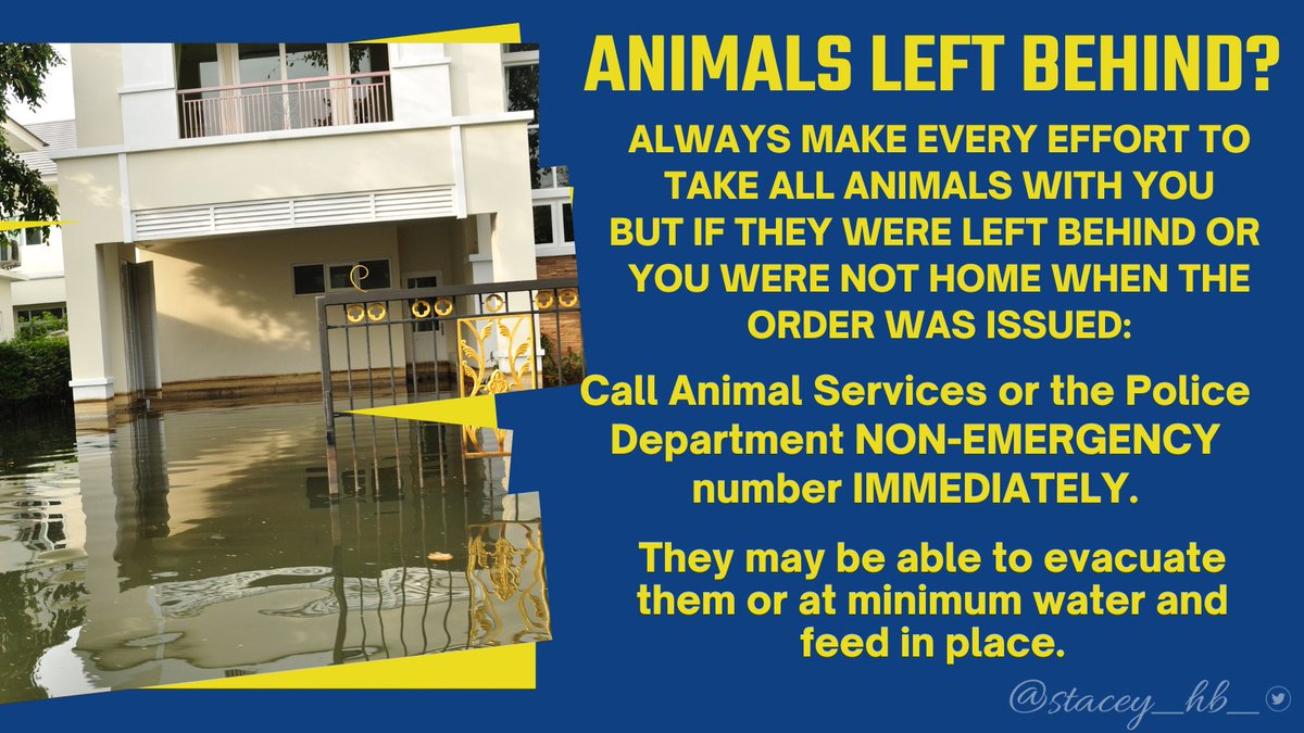 stacey_hb_'s tweet image. Always try to take your pets/livestock with you.  But if you don't have time or can't, call Animal Services ot the police NON-Emergency number IMMEDIATELY. #petsarefamily  #dontletthemdrown #CAwx #CAstorms #WinterWeather #SantaCruzCounty 
#beprepared #preparenow #stormprep