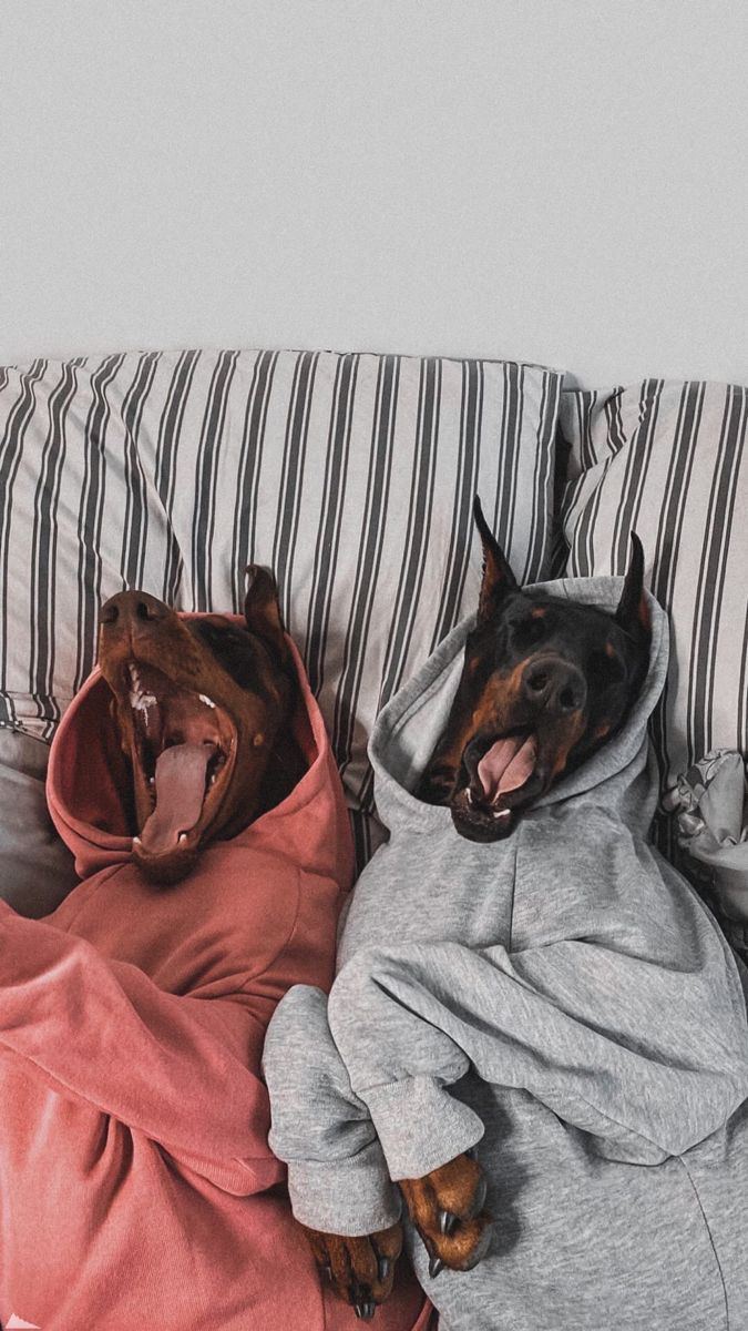 OlxScene's tweet image. Утречка⛅️