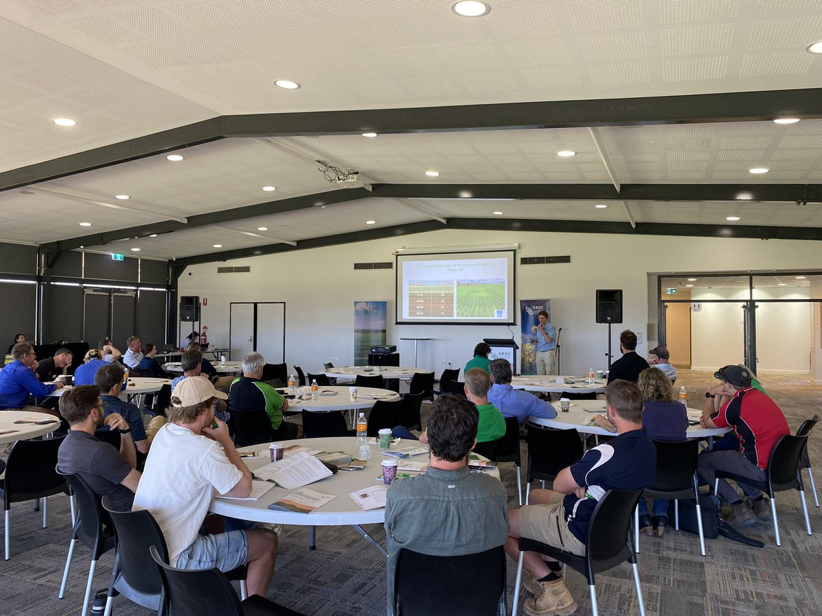 LiebeGroup's tweet photo. Concurrent sessions well underway at @theGRDC Grains Research Update this afternoon with presentations from @DPIRDWA, @SoilsWest, @SlrAgriculture and @MurdochUni https://t.co/oVYc2ZIr7R