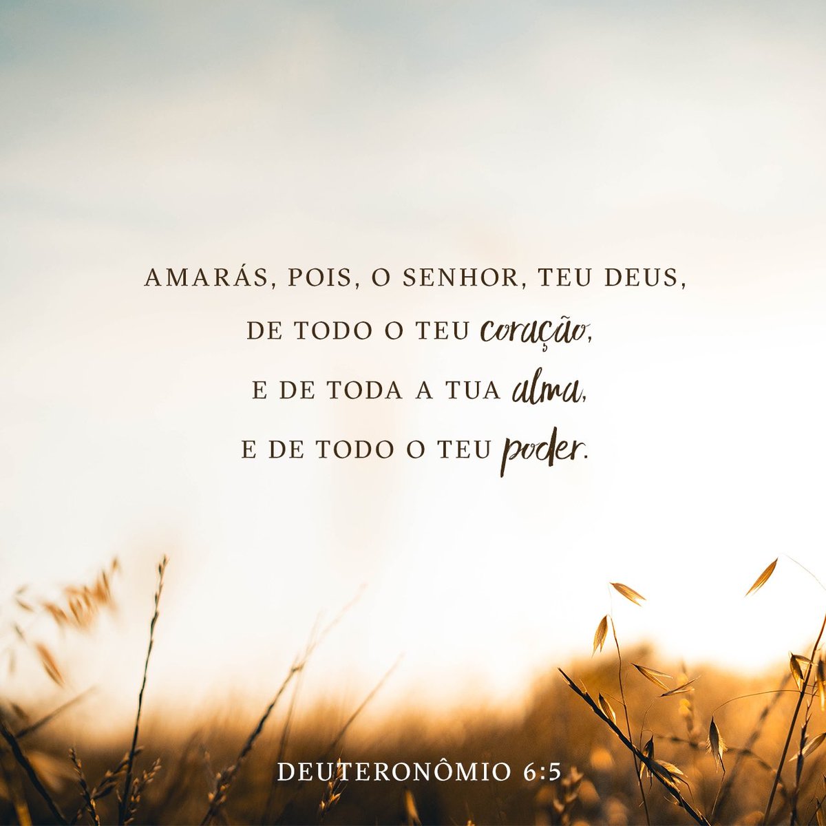 Amará o Senhor Deus de todo coração eternamente! Bom dia!