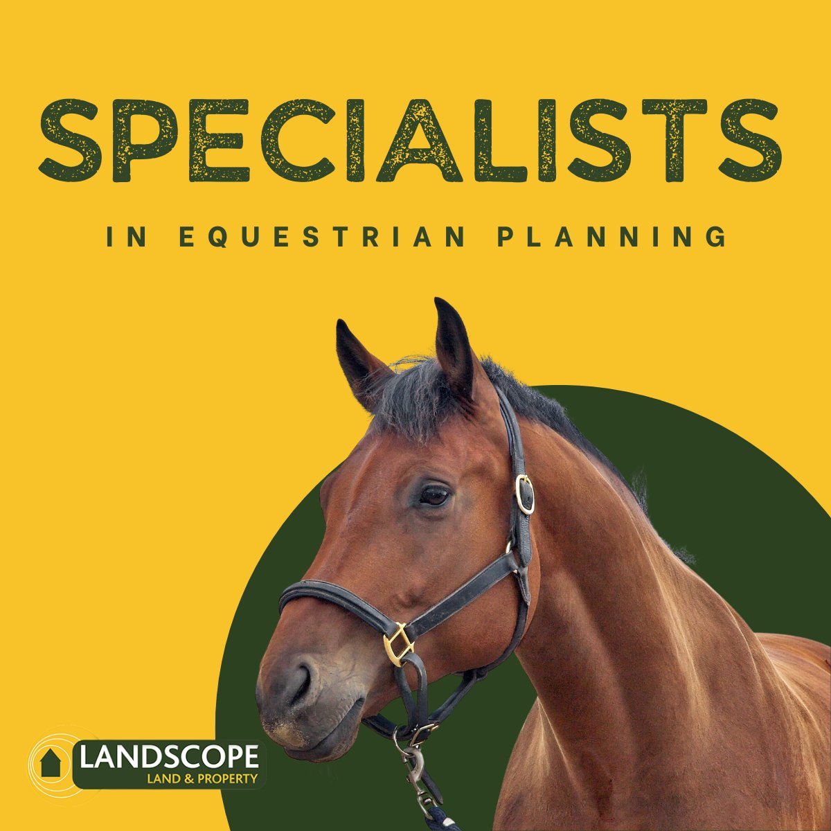 We have worked on a wide range of #equestrianproperties from private yards, through farm diversification schemes such as cross country/chaser courses, livery yards, #ridingschools, polo yards, hunt kennels and much more.

Read our case study - bit.ly/3SVbbs8