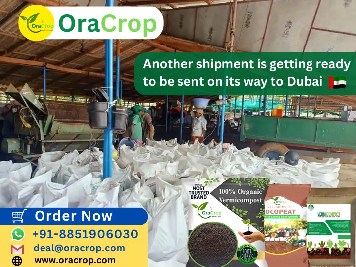 Ora Crop (@ora_crop) / Posts / X