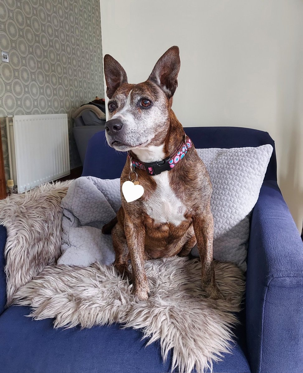 🌈LottieSpots tweet media