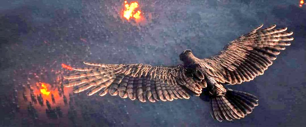 A N B A A N A • F A N tweet media