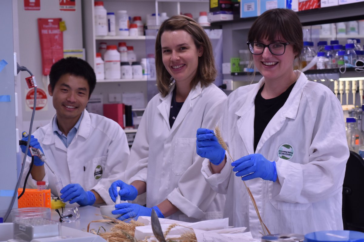 Samantha Harvie (@harviesamantha1) on Twitter photo Excited for my research to be featured in the Groundcover nitrogen supplement! This work would not be possible without the support of my PhD supervisors <a href="/ahmillar9/">Harvey Millar</a>, <a href="/huicao_001/">Hui Cao</a> and <a href="/BeltKatharina/">Katharina Belt</a>. Let's solve the mysteries of how nitrogen regimes influence wheat proteins! 🌱👩🌾🚀 Excited for my research to be featured in the Groundcover nitrogen supplement! This work would not be possible without the support of my PhD supervisors <a href="/ahmillar9/">Harvey Millar</a>, <a href="/huicao_001/">Hui Cao</a> and <a href="/BeltKatharina/">Katharina Belt</a>. Let's solve the mysteries of how nitrogen regimes influence wheat proteins! 🌱👩🌾🚀