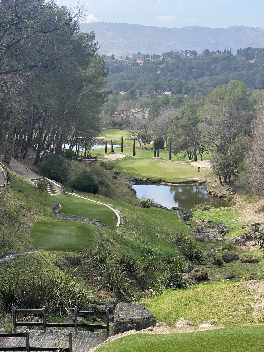 Tim Downing tweet media