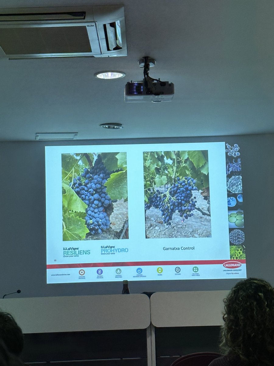 <a href="/LOenology/">Lallemand Oenology</a> a organitzat una fantàstica i molt profitosa jornada per <a href="/enolegs/">ACE - CEEC</a>