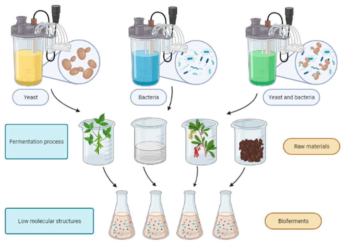 Molecules_MDPI's tweet photo. 📌#bioferments #naturalcosmetics #fermentation #bioactivecompounds
New Publication “Biological and Cosmetical Importance of Fermented Raw Materials: An Overview”
By: Weronika Majchrzak, et al. 
👉 https://t.co/IXFg1mU8Au
#mdpimolecules #NewPublication https://t.co/wBht3Z6p1p