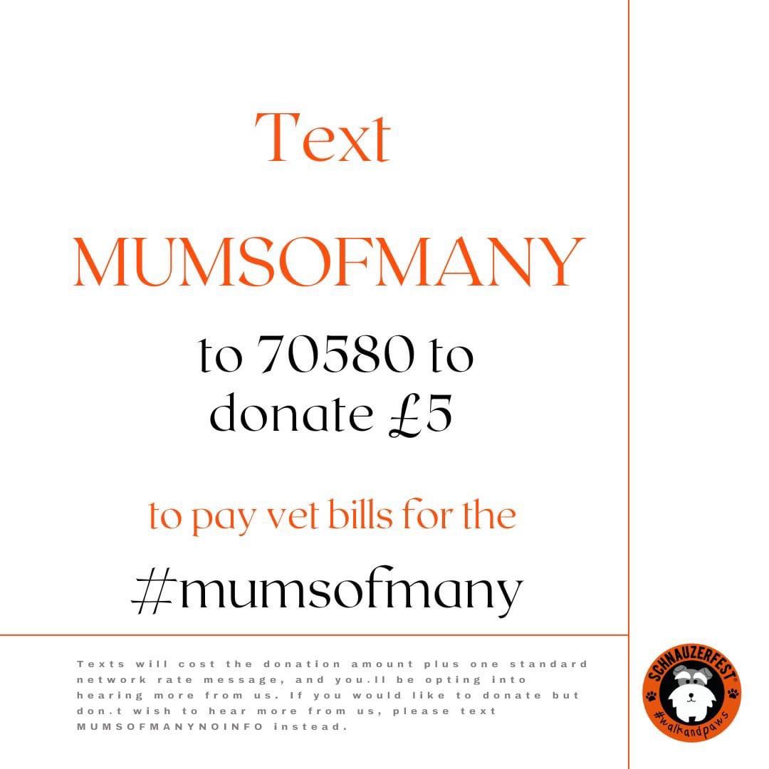SchnauzerfestUK's tweet photo. With #MothersDay this Sunday we’re remembering the 10000s of dogs forced to supply the lucrative, badly regulated puppy trade. The unloved #mumsofmany 

Please help by sharing 🙏 https://t.co/j5uFbFXpzh