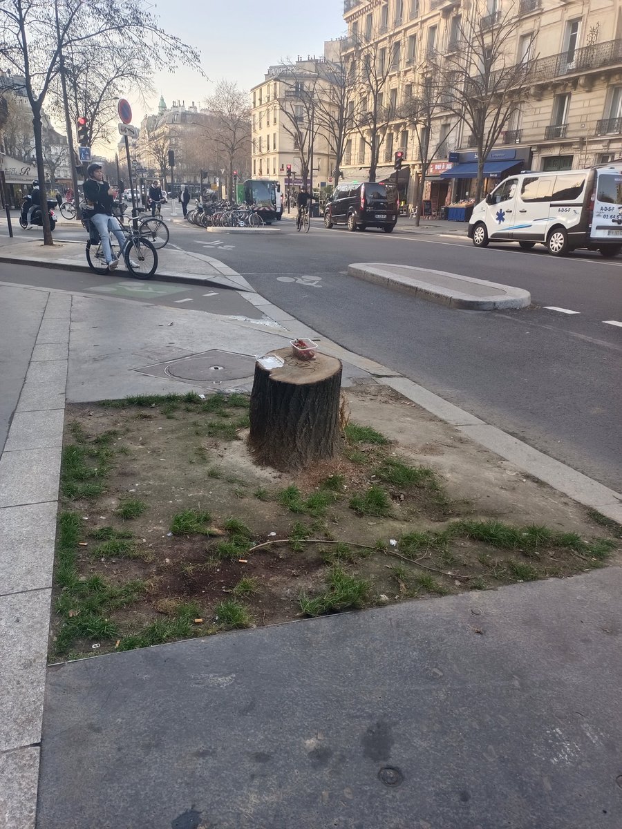missblabla75's tweet photo. @ACORDEBARD @Anne_Hidalgo @egregoire @PaulSimondon Avec l' #amere de #saccageparis c'est  #paris #poubelle #plancrack 25 M€ #dette 10 milliards #clandestin #achat boîte de nuit gay 8 M€...bref tout pour des #gabegies et taxer parisiens avec 60% #TaxeFonciere #massacre à la tronçonneuse de nos #arbres https://t.co/Q1PySkCMbl
