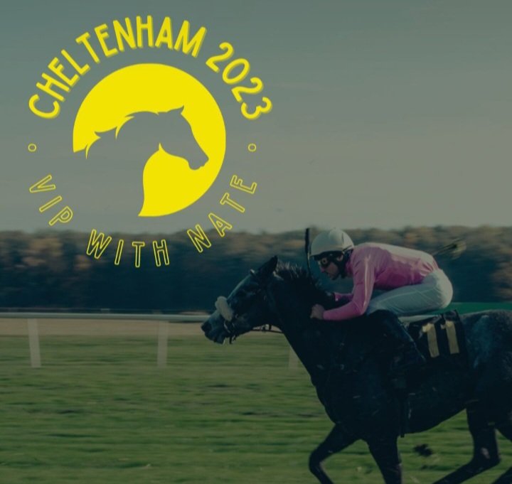 stablesecrets1's tweet photo. Morning all, it's finally time 

We will be posting a free Cheltenham tip from VIP here

https://t.co/EqcfgTX91p

Or to join for the entire festival you can swing by here for a special offer https://t.co/Ol5Cs7IvYw https://t.co/heyALKYyts