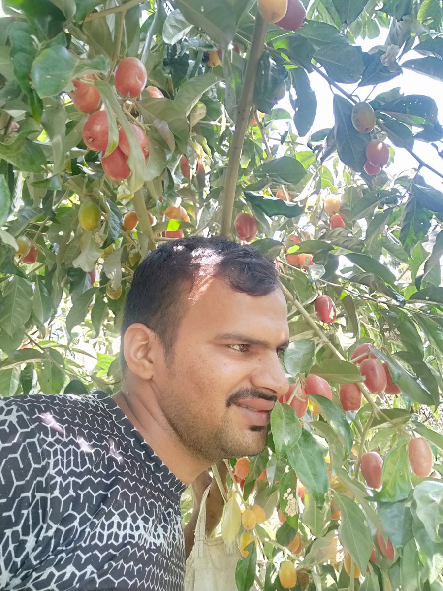 ल भन्नुस यो कुन फल हो
    खानि भए आम है