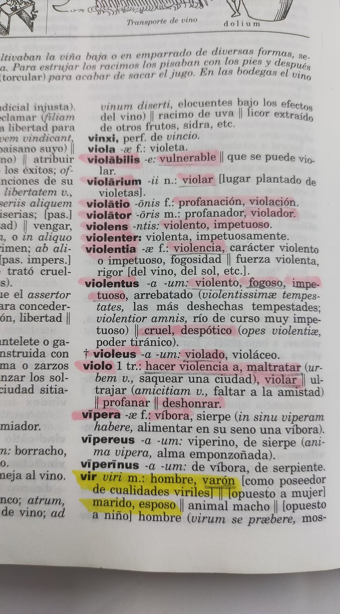 nihadd_12's tweet photo. La evolución de un hombre para el diccionario de latín https://t.co/37K7EjY0nA