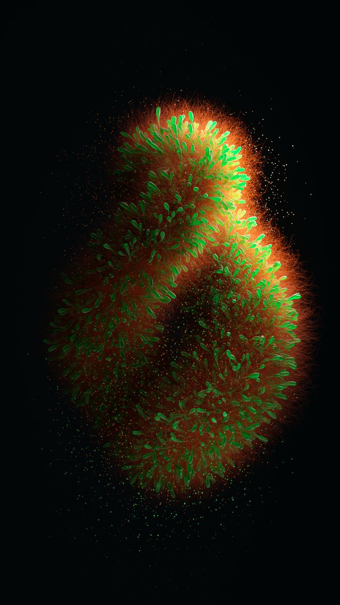 [23-03-13] - Creparo Virus
Download free C4D (Octane) Project File here: studio-xs.com/230313
.
.
.
#studioxs #cesareperniola #virus #fur #neon #bacteria #microscope #octanerender #cinema4d #C4D #worldcreator #mdcommunity #mgcollective #c4dart #3dart #digitalart #3drender