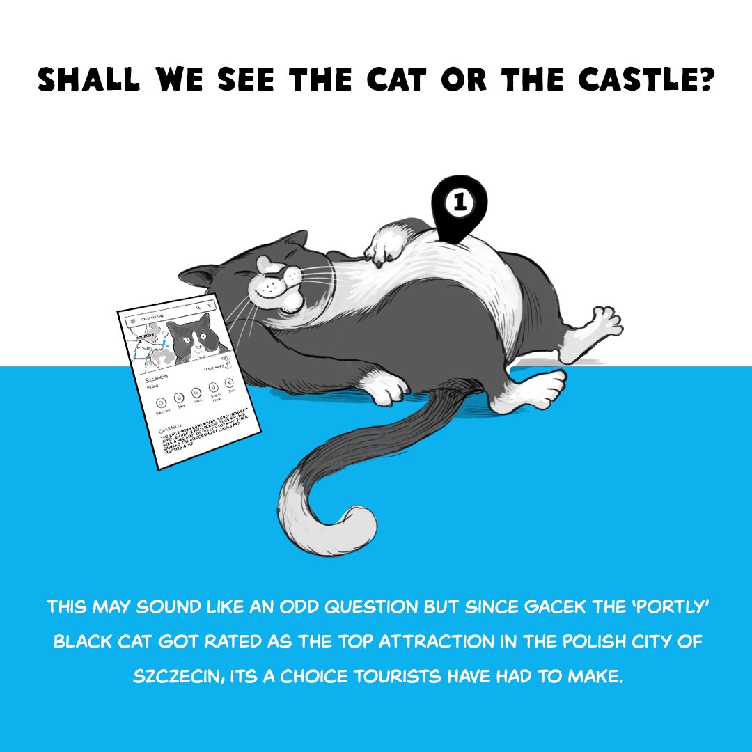 wearecognitive's tweet photo. We loved illustrating #Gacek the top-rated cat for our weekly BLT. So much so that we also included him in our Feb round-up episode last week.
You can find Gacek amongst other news stories here: https://t.co/NtvWReDQLg
Keep an eye out for our new episode coming soon! https://t.co/4Dxs5q0nDc