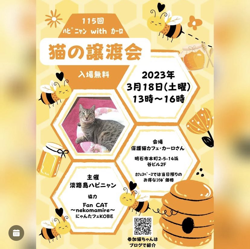 nonrinyou's tweet photo. 😻猫の譲渡会⁡のお知らせ😻
2023年3月18日⁡（土曜日）
13時~16時⁡

兵庫県明石市本町2-5-14浜谷ﾋﾞﾙ2F
会場 : 保護猫カフェカーロさん

可愛い子達がご縁を待っていますのでよろしくお願いします✨

#淡路島ハピニャン
#FanCATnekomamire
#にゃんたフェKOBE
#保護っ子 https://t.co/Puc4sF0PDt