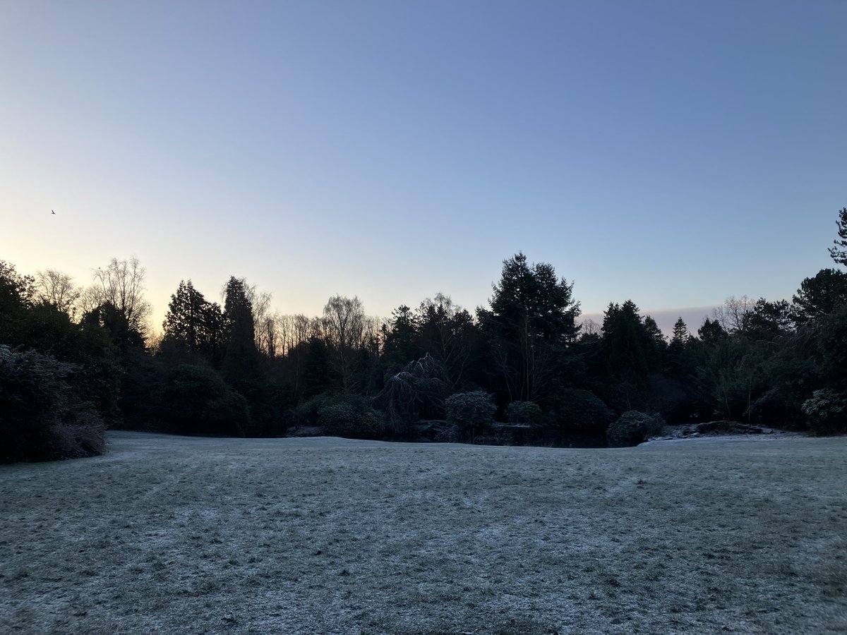 mrcassidy12's tweet photo. Lovely morning walk in the park - very atmospheric with the wintry scenes. #timeforschool https://t.co/xrsADL0JfX