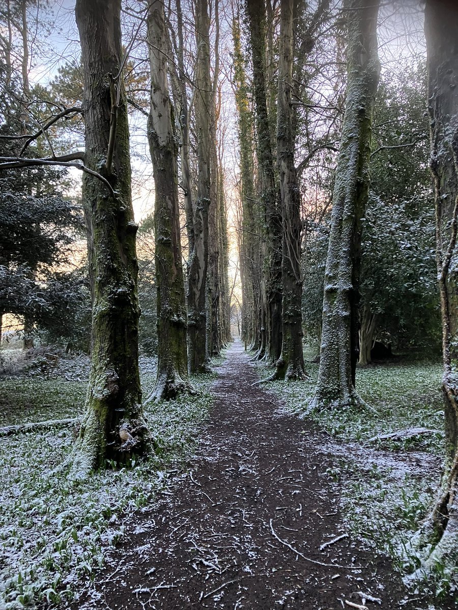 mrcassidy12's tweet photo. Lovely morning walk in the park - very atmospheric with the wintry scenes. #timeforschool https://t.co/xrsADL0JfX