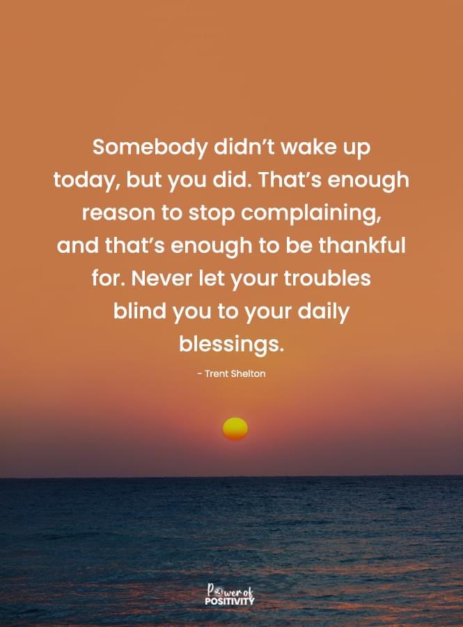 Trish Banks (@potagedujour) on Twitter photo 