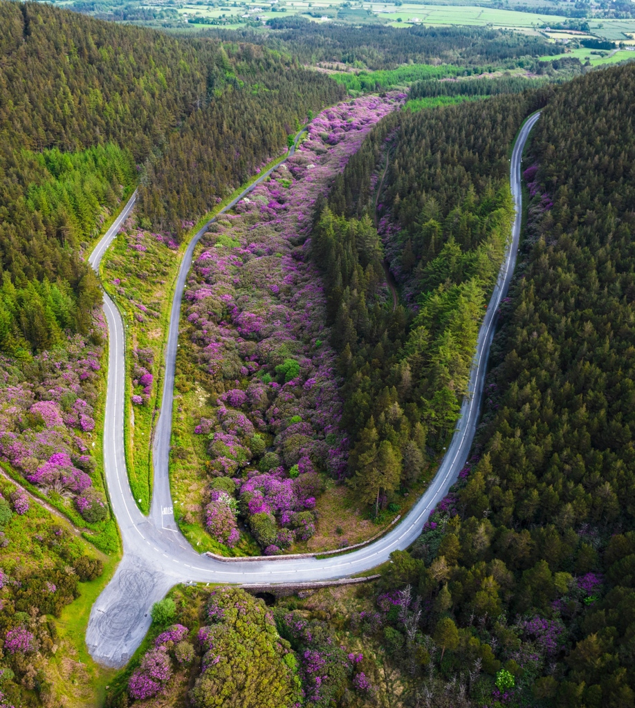 This is one of my favourite stretches of road in Ireland, but it's one that many never encounter 🚗🚲

You'll find it in the Knockmealdowns - a virtual 🍺 to the first person that gives us its name!

Photos via Shutterstock

#TheIrishRoadTrip <a href="/Failte_Ireland/">Fáilte Ireland</a> <a href="/TourismIreland/">Tourism Ireland</a>