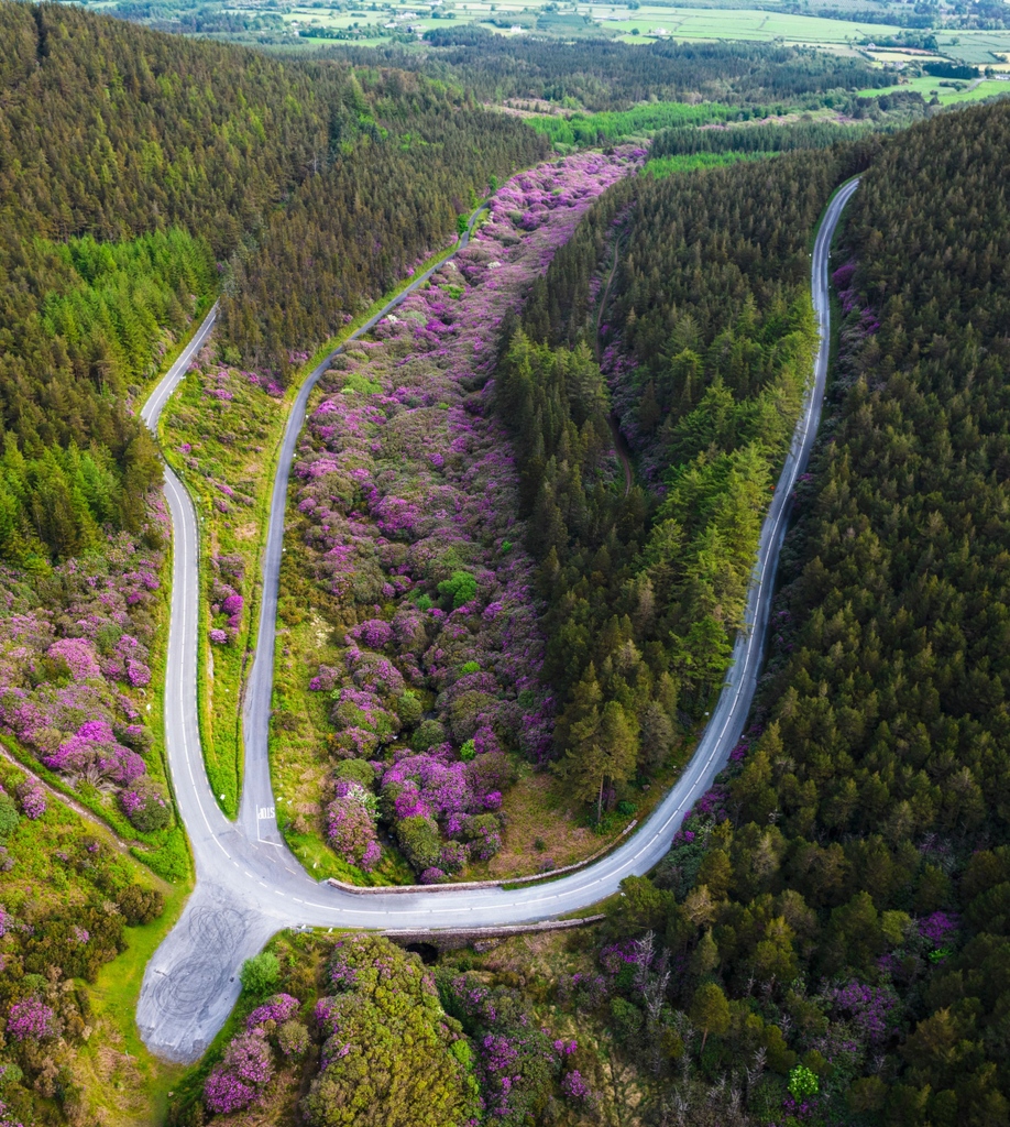 This is one of my favourite stretches of road in Ireland, but it's one that many never encounter 🚗🚲 You'll find it in the Knockmealdowns - a virtual 🍺 to the first person that gives us its name! Photos via Shutterstock #TheIrishRoadTrip @Failte_Ireland @TourismIreland