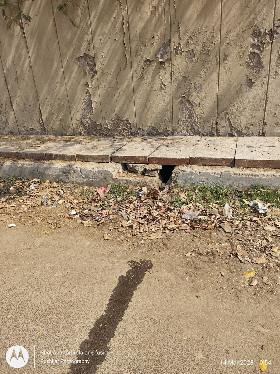 पुष्कर राज चांदना (भाजपा कार्यकर्ता, नोएडा 🇮🇳) tweet media