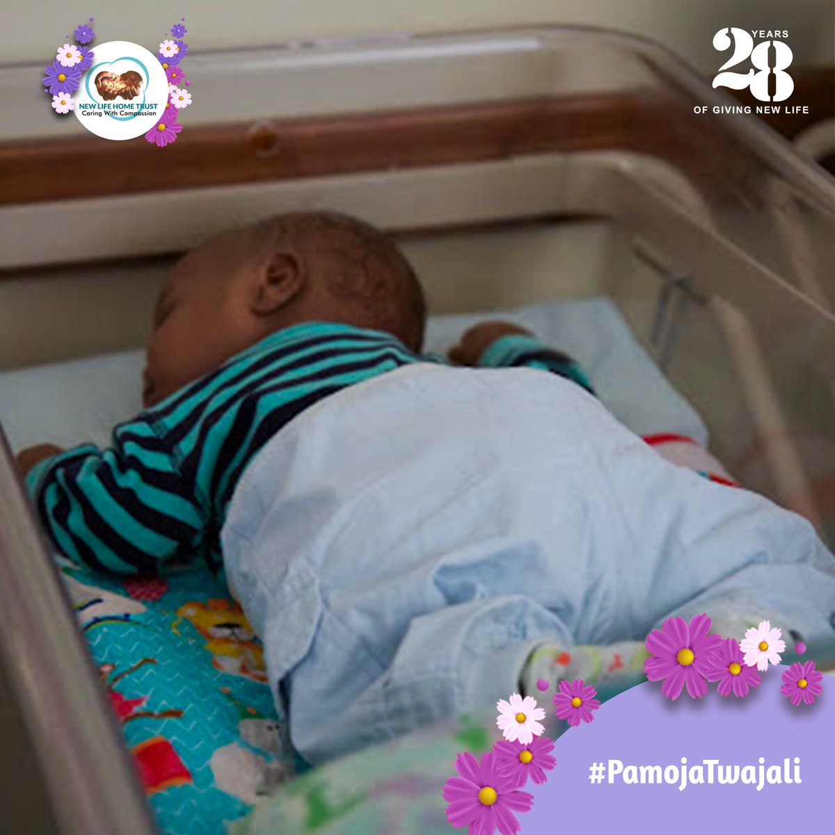 NewLifeHomeKE's tweet photo. Time for that good old Saturday nap! Don’t forget to rest up Fam.
#SnugglySaturday #PamojaTwajali #28YearsOfGivingNewLife https://t.co/0v4VuK2Gxa