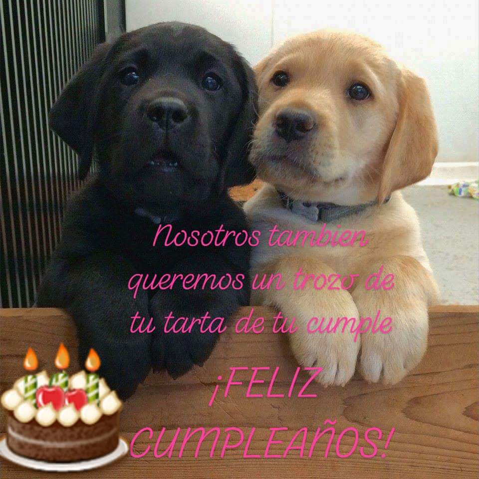 FuentesGancedo's tweet photo. @doggynation_ Felicidades https://t.co/USw09rAgFK