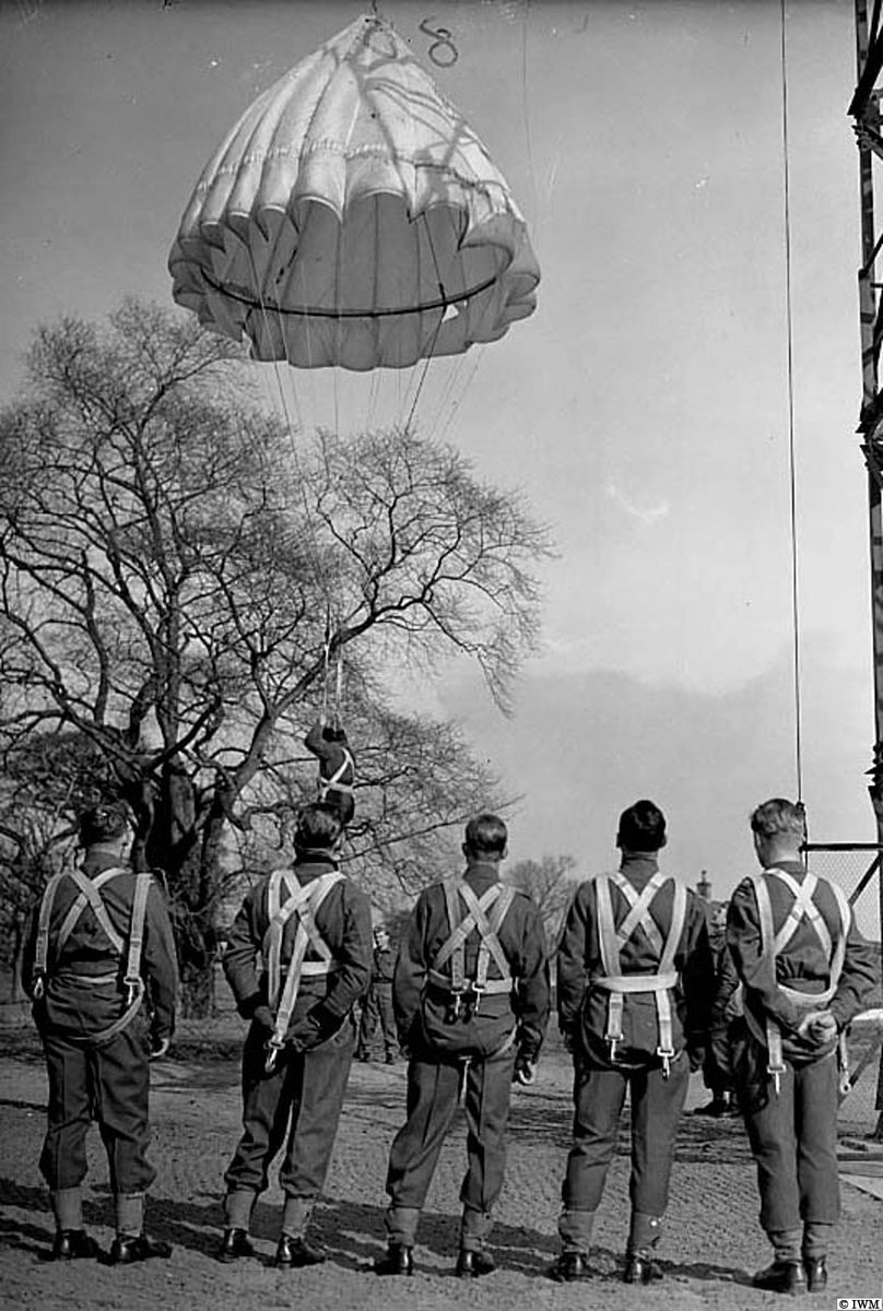 土と油 on Twitter: "RT @rgpoulussen: (Unjustly blamed for the Market