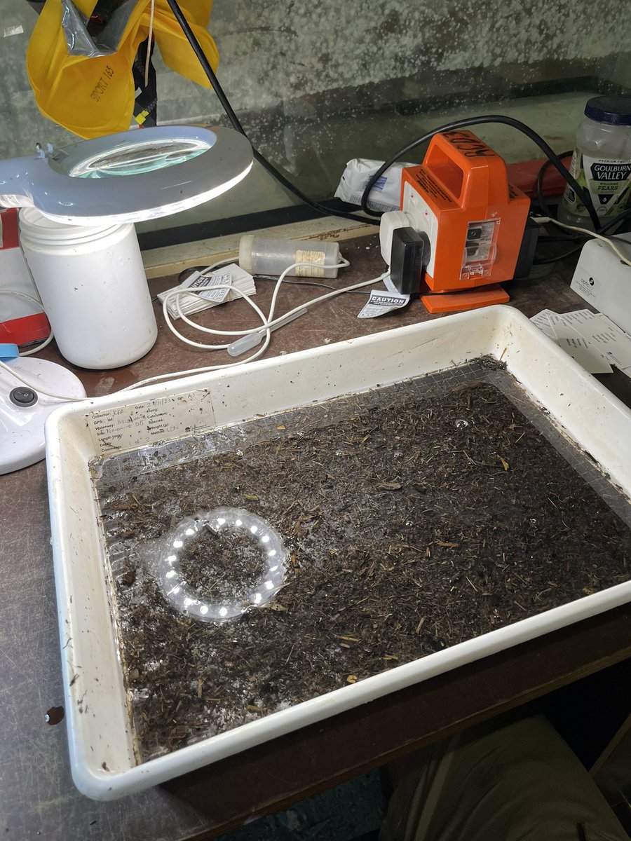 Busy working at the FIAT farm. No time for degening lately. Just been  DCAing seems to work and literally no effort.