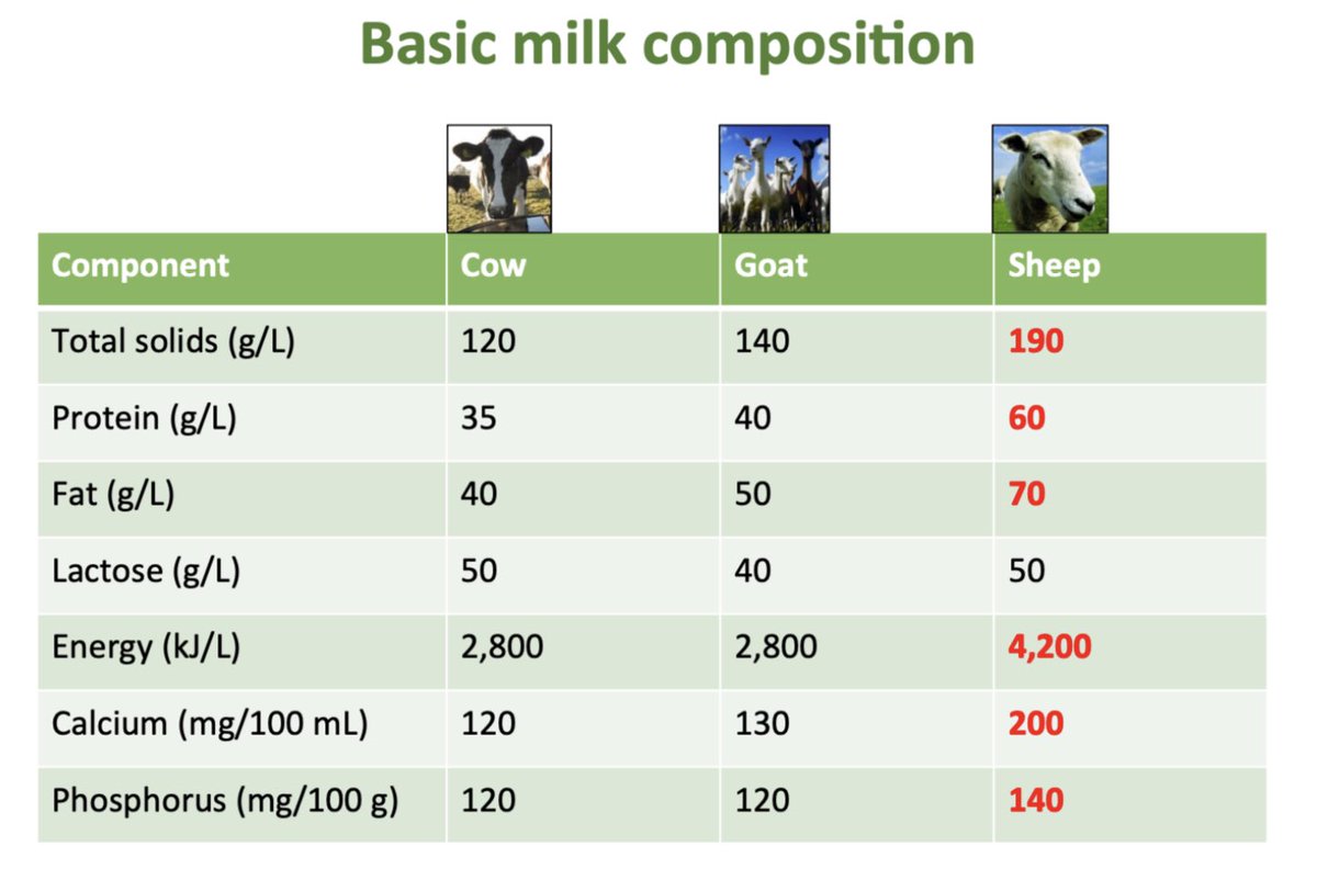 #sheepmilk composition 

Also it’s #a2 protein, it’s #grassbased, naturally homogenised, gentle on the stomach and 8 times more lactoferrin than cow’s milk - which is known for its immunity boosting properties.
An #irish #superfood